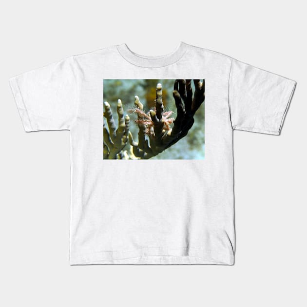 Neck Crab on Coral Kids T-Shirt by Scubagirlamy